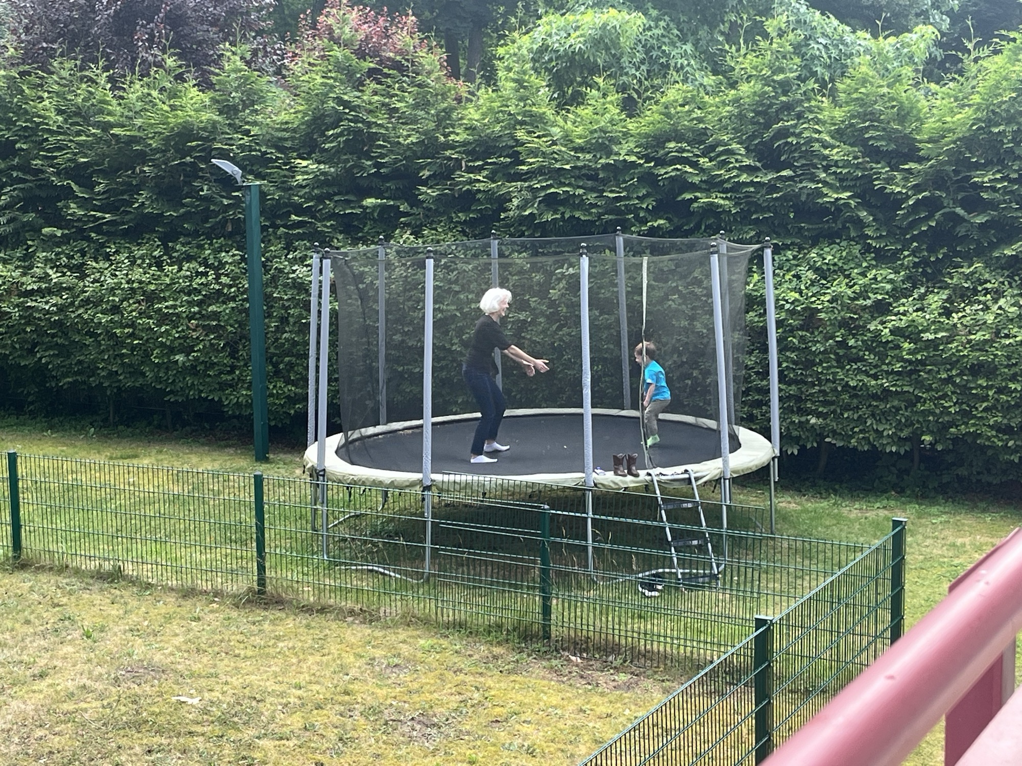 Apu and George jumping together on the trampoline in our backyard