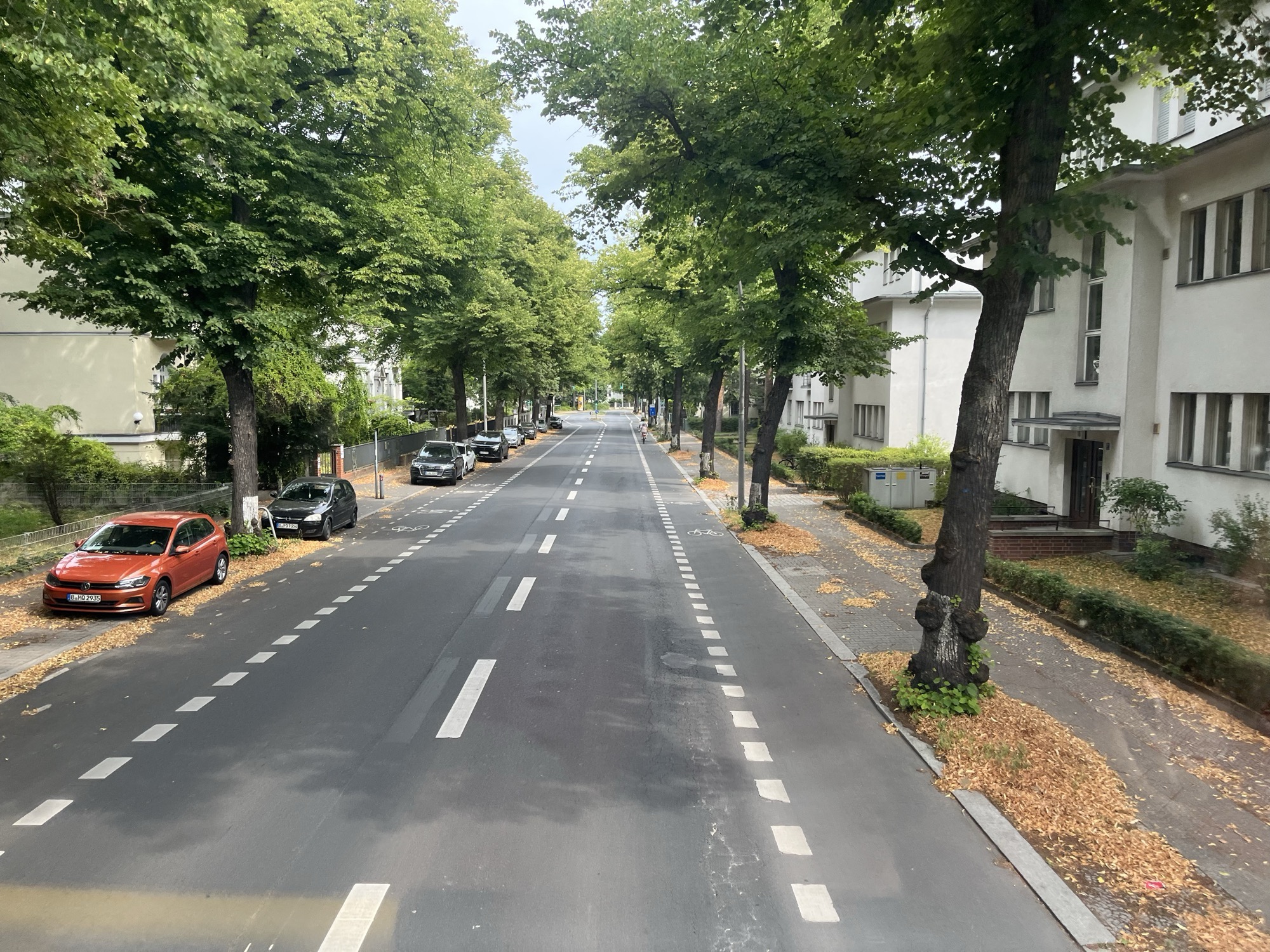 A tree-lined Berlin street seen from the top deck of the bus